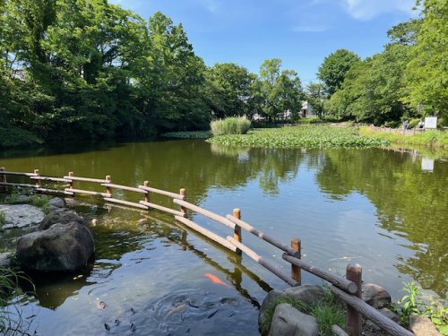 公園　菊名池公園（公園）まで1139m