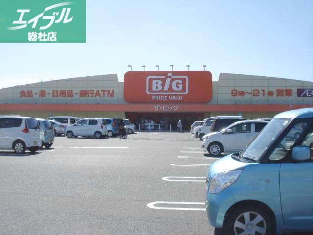 ショッピングセンター　ザ・ビッグ鴨方店（ショッピングセンター）まで1337m