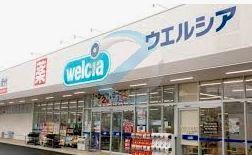 ドラックストア　ウエルシア江戸川二之江店（ドラッグストア）まで490m