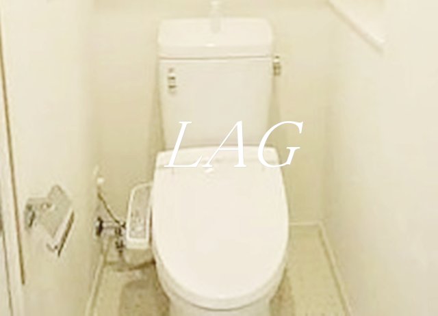 トイレ　トイレです。
