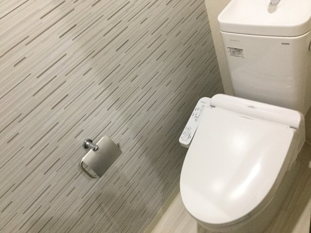 ＪＲ阪和線 鳳駅 徒歩7分 3階建 築8年のトイレ写真