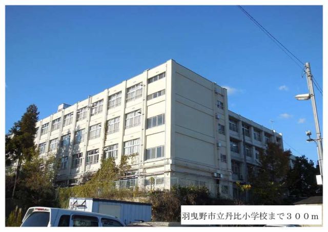 小学校　羽曳野市立丹比小学校（小学校）まで300m