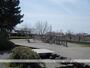 公園　豊岡公園（公園）まで1000m