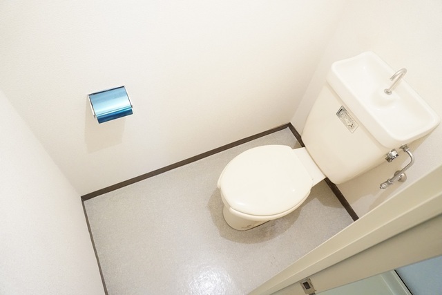 メゾン遠山のトイレ写真