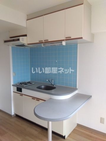 ドミール星が丘のキッチン写真