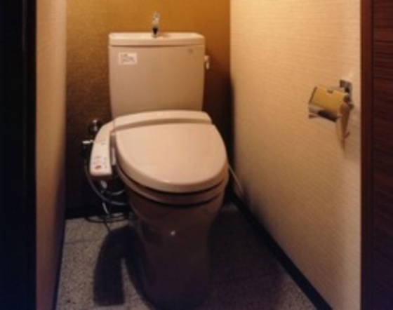 トイレ　他号室のお写真です