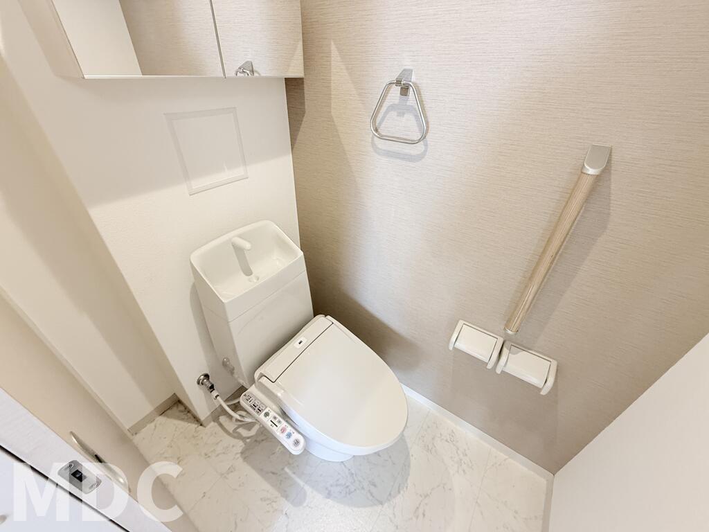 ＪＲ徳島線 蔵本駅 徒歩13分 2階建 築13年のトイレ写真