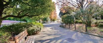 公園　目黒区民センター公園（公園）まで379m