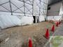 その他　その他