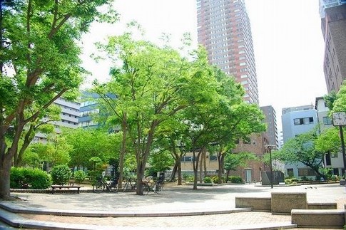 公園　松島公園（公園）まで244m