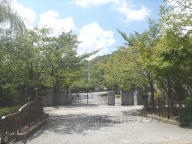 中学校　大枝中学校（中学校）まで1700m