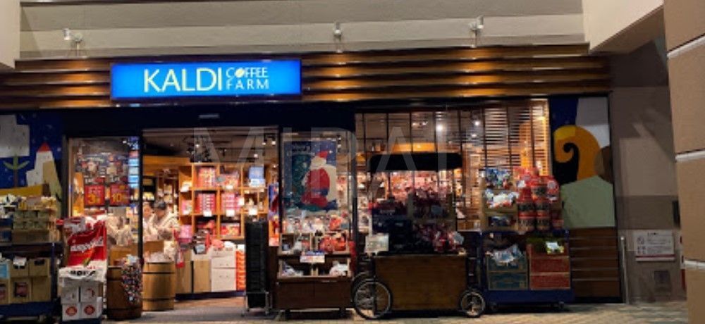 スーパー　カルディコーヒーファーム港北東急SC店（スーパー）まで700m