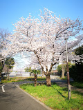 公園　仙台堀川公園（公園）まで936m