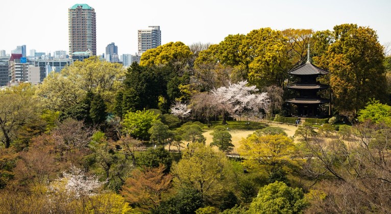 その他　椿山荘（その他）まで550m