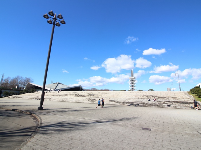 公園　駒沢オリンピック公園（公園）まで325m