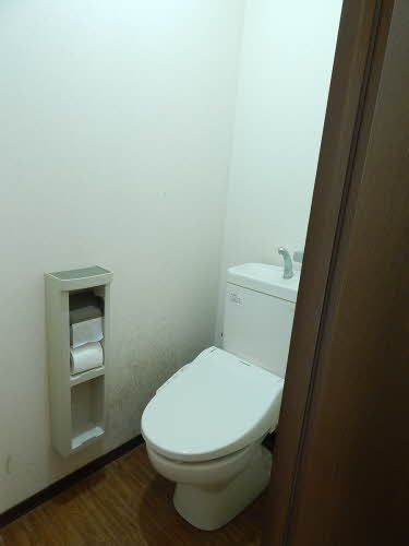 ディアスHIRO Vのトイレ写真