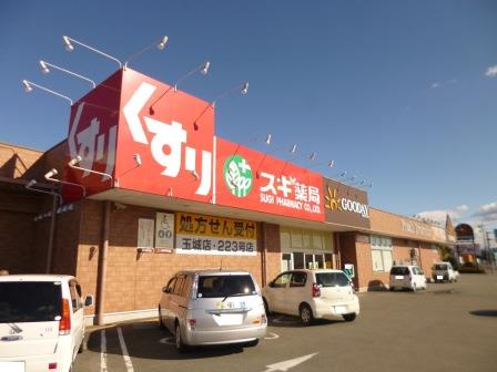ドラックストア　スギ薬局玉城店（ドラッグストア）まで1645m