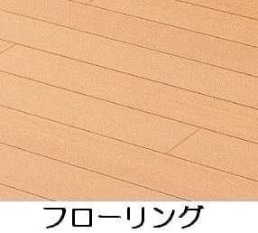 ＪＲ川越線 西大宮駅 徒歩21分 2階建 築4年の居間写真
