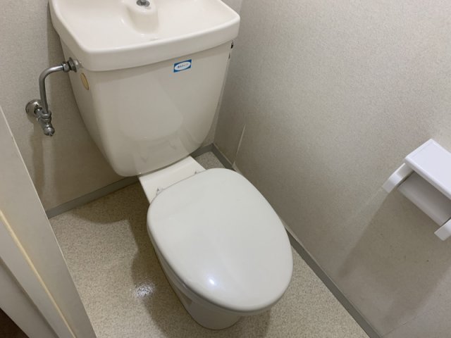 【メゾンルミエールB棟のトイレ】