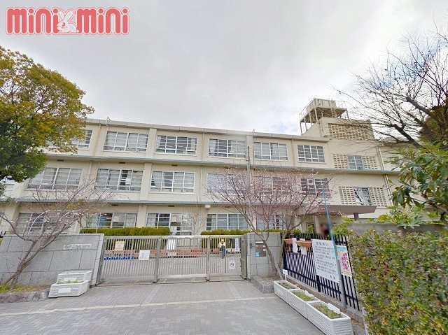 小学校　尼崎市立水堂小学校（小学校）まで1100m