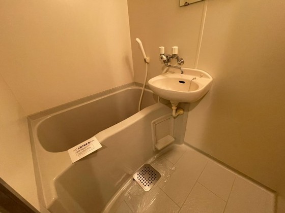 バス・シャワールーム　※別部屋の写真です