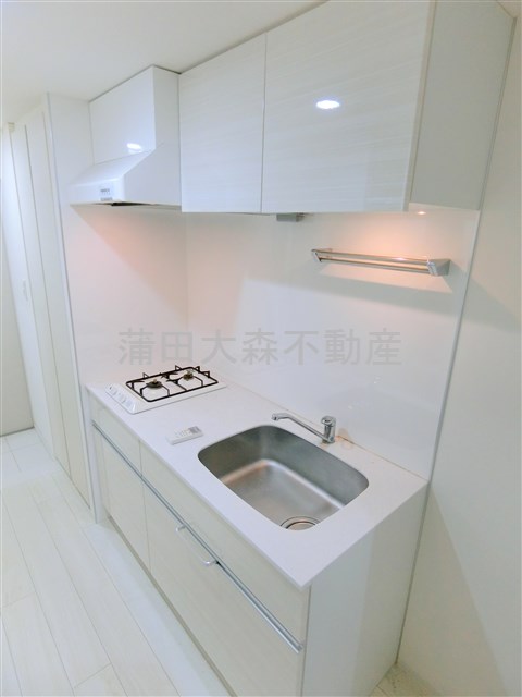 キッチン　２口ガスシステムキッチン