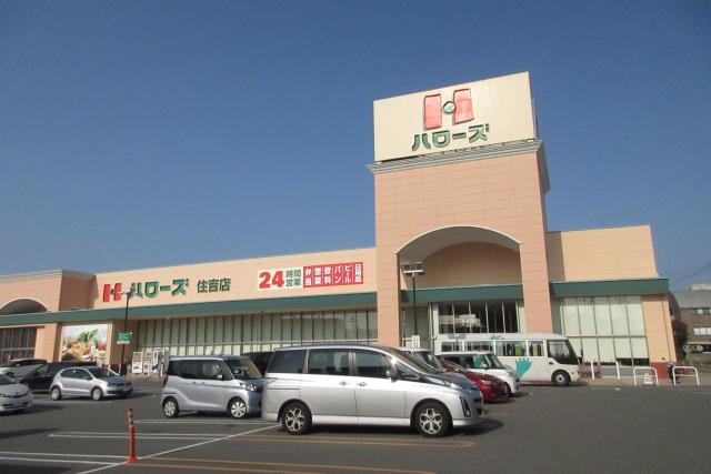 スーパー　ハローズ 住吉店（スーパー）まで833m
