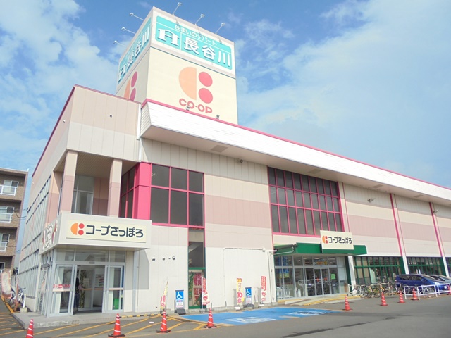 スーパー　コープさっぽろ野幌店（スーパー）まで220m