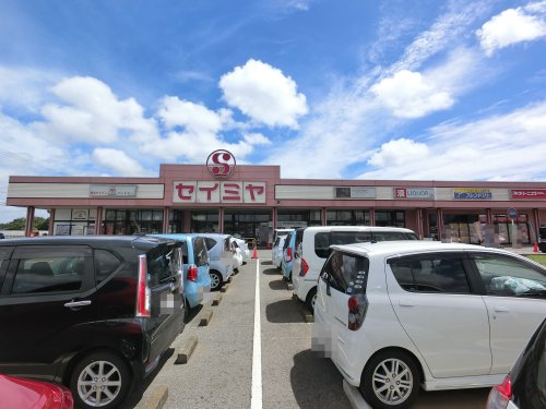 スーパー　（株）セイミヤ 成田芝山店（スーパー）まで725m