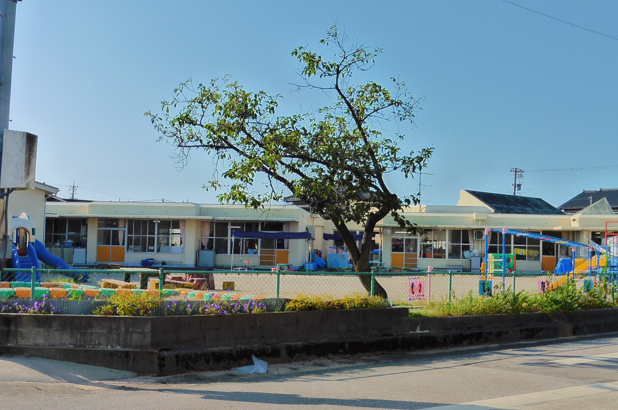 【さくらいマンション立野の幼稚園・保育園】