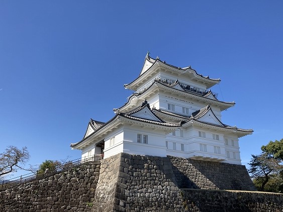 【小田原市風祭のマンションのその他】