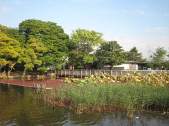 【藤沢市鵠沼桜が岡のマンションの公園】