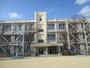 小学校　尼崎市立成徳小学校（小学校）まで252m