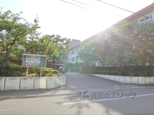 小学校　桐原東小学校（小学校）まで1100m