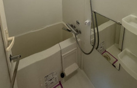 バス・シャワールーム　※別部屋の参考写真です。