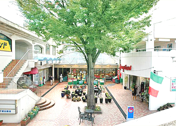 スーパー　MORITAYA鴻池店（スーパー）まで1417m