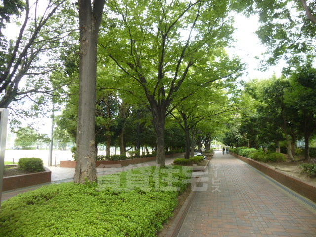 公園　若園公園（公園）まで440m