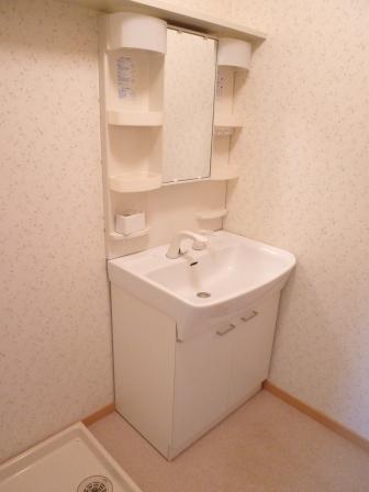 洗面設備　シャワードレッサー付き
