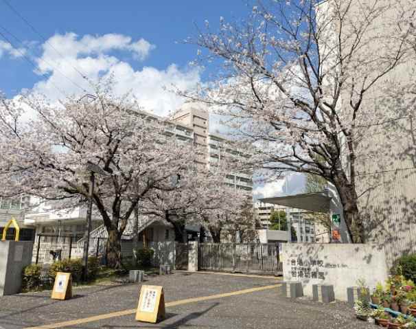 小学校　台場小学校（小学校）まで272m
