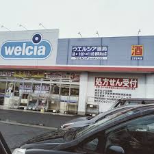 ドラックストア　ウエルシア練馬向山店（ドラッグストア）まで582m