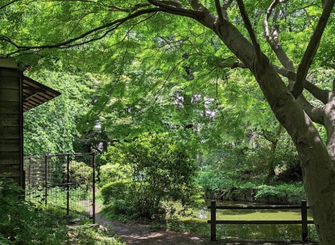 公園　浴恩館公園★（公園）まで59m