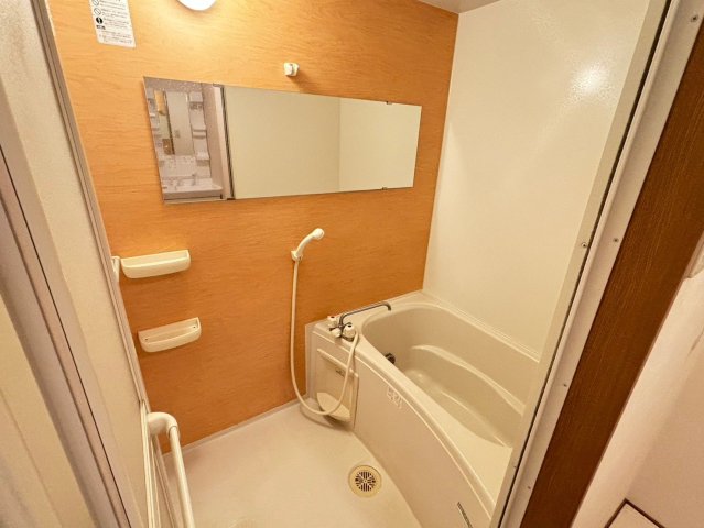 バス・シャワールーム　※別の部屋の写真になります。