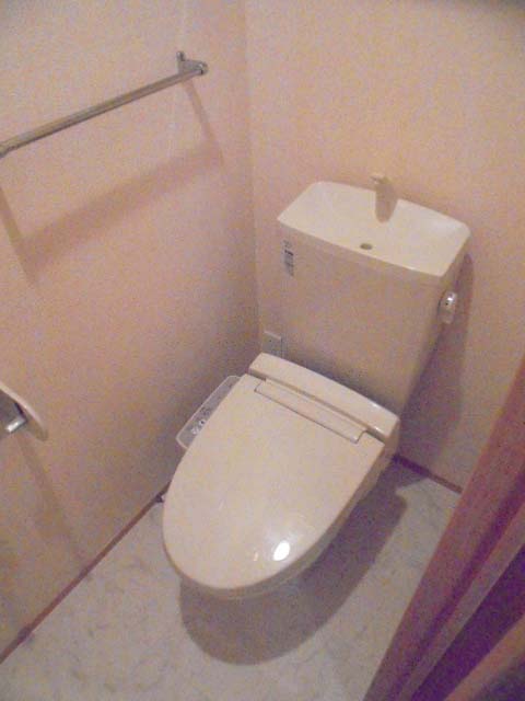 ＪＲ奈良線 平城山駅 徒歩2分 3階建 築13年のトイレ写真