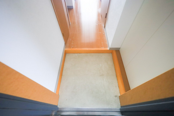 玄関　※他部屋の写真です。