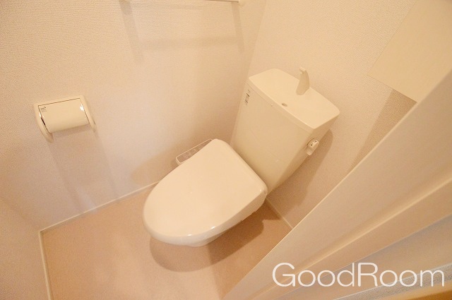 ＪＲ徳島線 蔵本駅 徒歩18分 2階建 築8年のトイレ写真