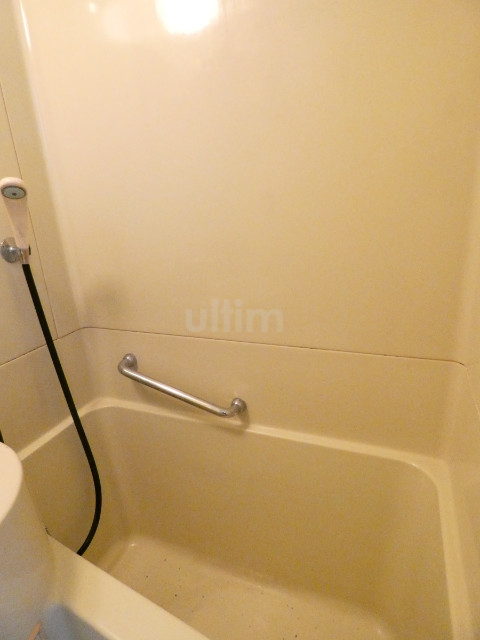 バス・シャワールーム　※同タイプの他のお部屋です
