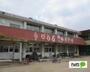 幼稚園・保育園　倉敷市立天城幼稚園（幼稚園・保育園）まで775m