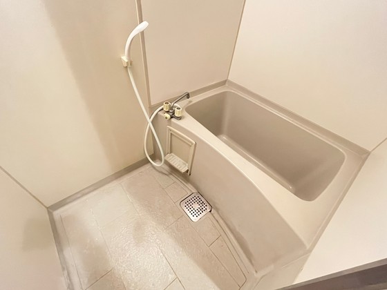 バス・シャワールーム　※別号室のお写真です