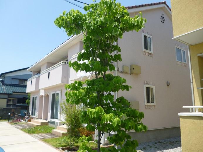 建物外観　外観もきれいです