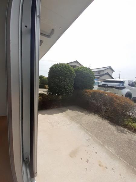 庭